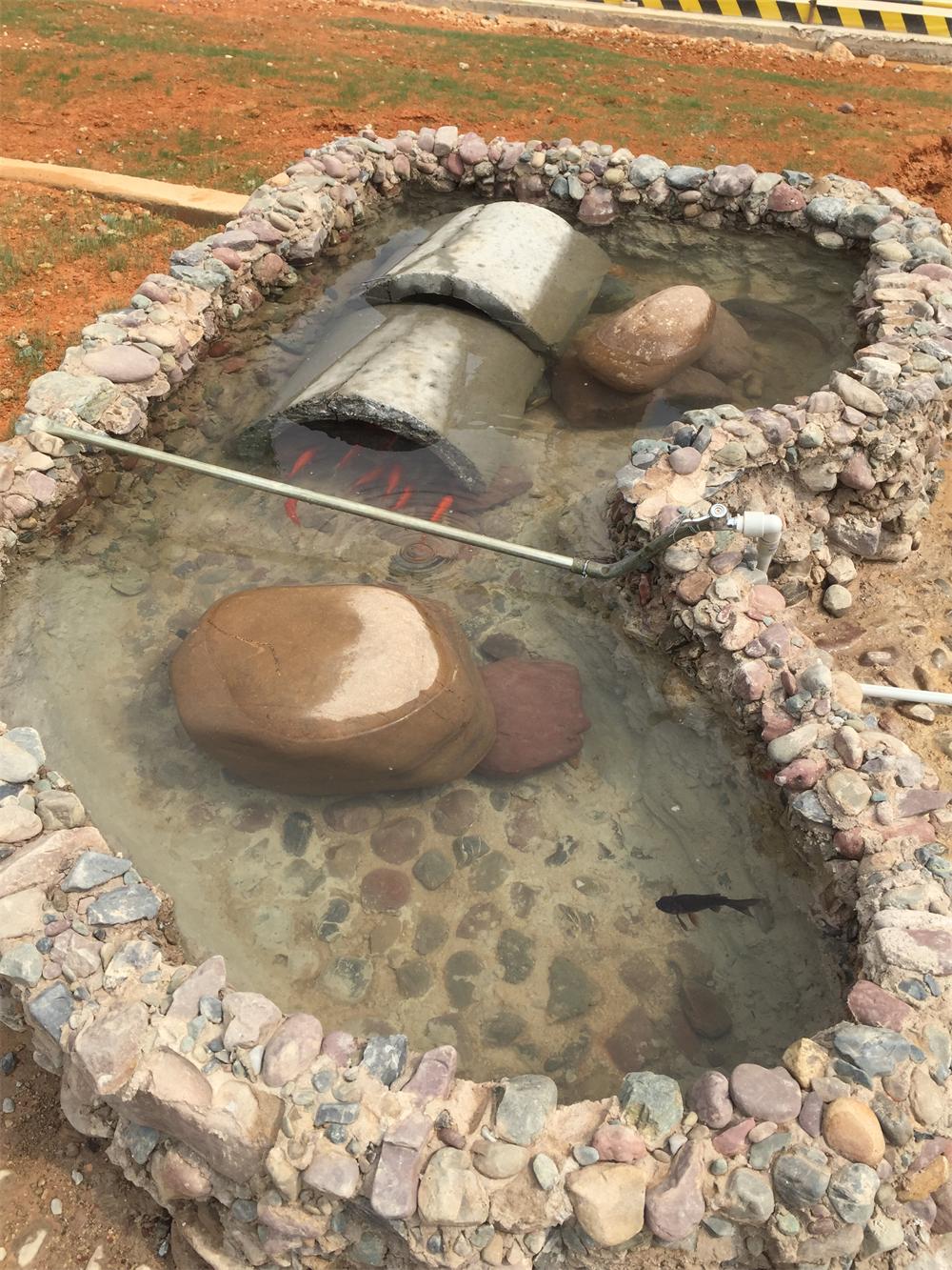 二直管魚塘.JPG